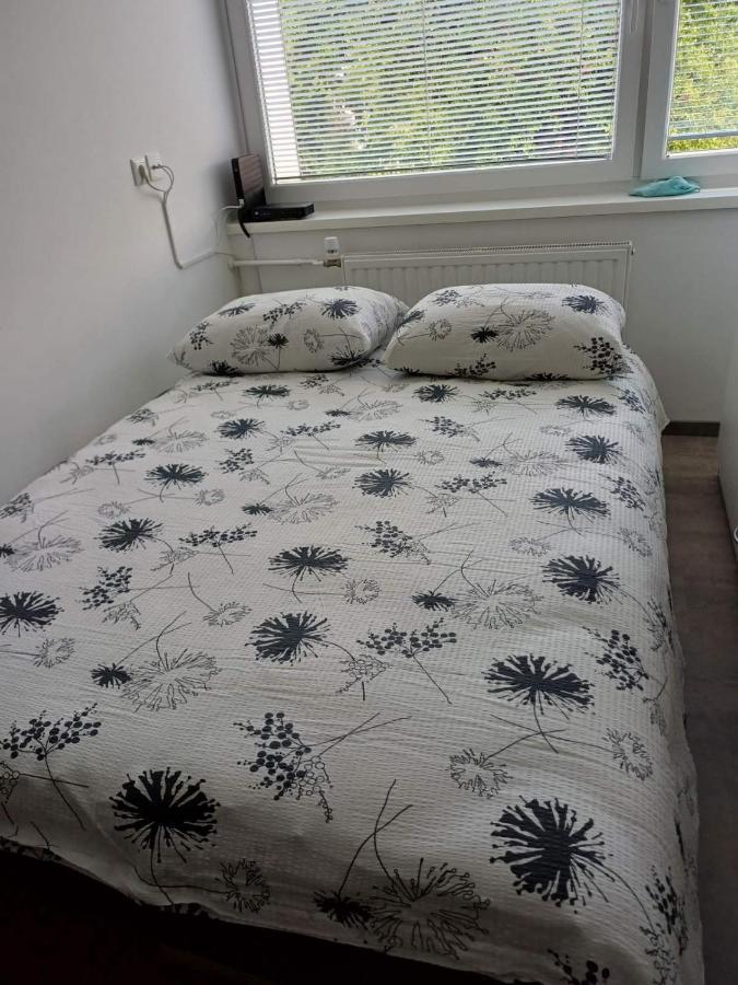 Apartma Nadja Máribor Exterior foto